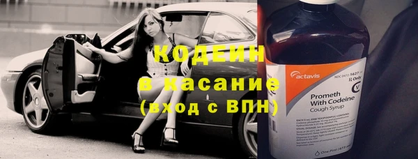 ГАЛЛЮЦИНОГЕННЫЕ ГРИБЫ Покровск