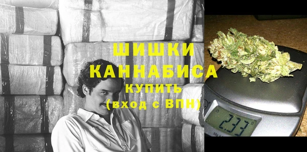 ГАЛЛЮЦИНОГЕННЫЕ ГРИБЫ Покровск