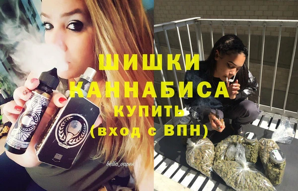 ГАЛЛЮЦИНОГЕННЫЕ ГРИБЫ Покровск