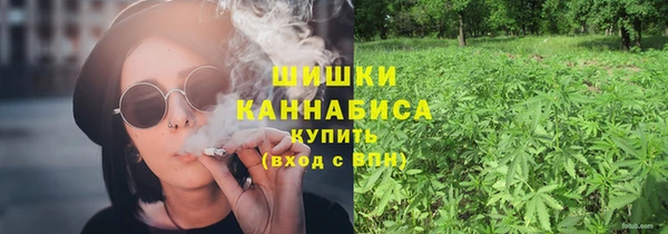 ГАЛЛЮЦИНОГЕННЫЕ ГРИБЫ Покровск